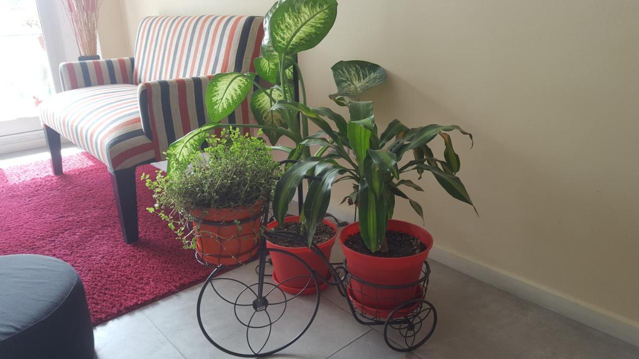 Apartment Palermo Soho Tango & Wifi Buenos Aires